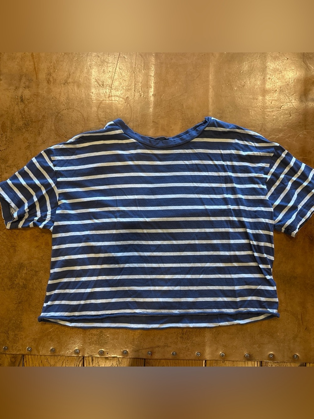 Aerie Striped Blue & White Short Sleeve Comfy Crop Top